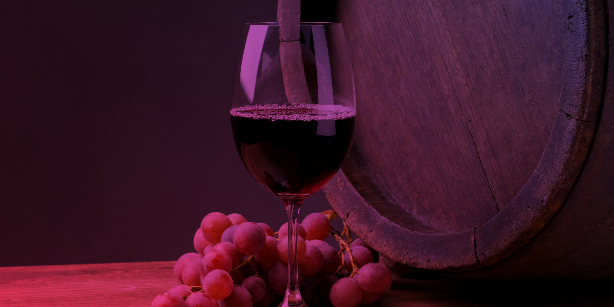 Laurea triennale Scienze dell'Alimentazione e Gastronomia