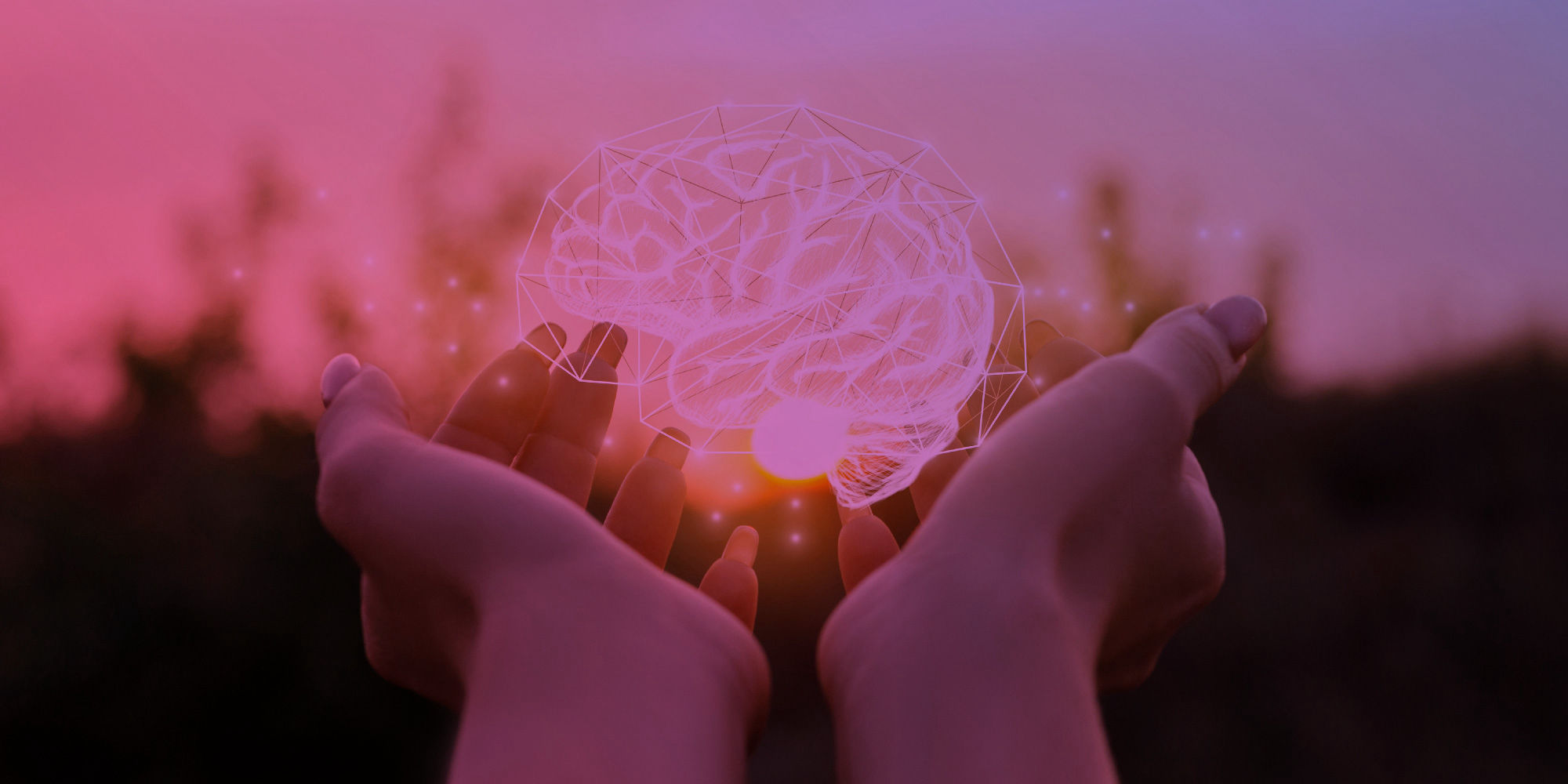 Laurea triennale Scienze e Tecniche Psicologiche